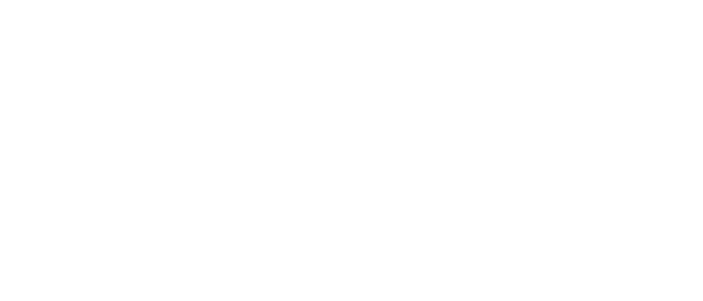 Logo 13
