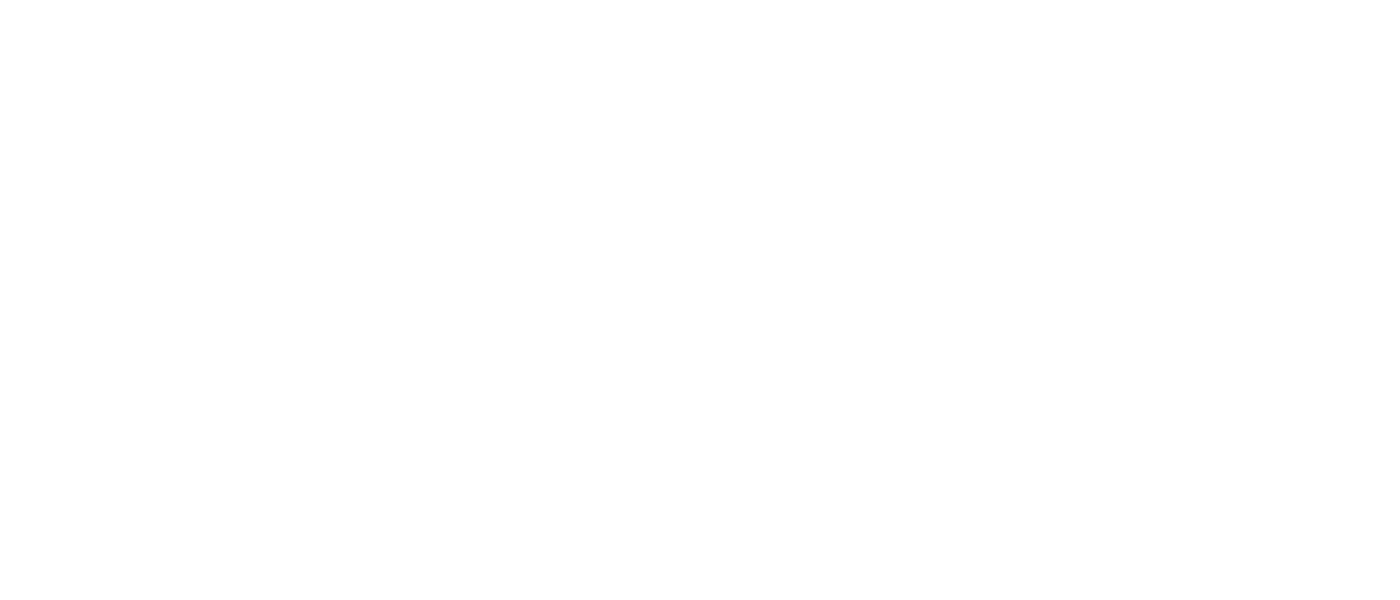 Logo 21