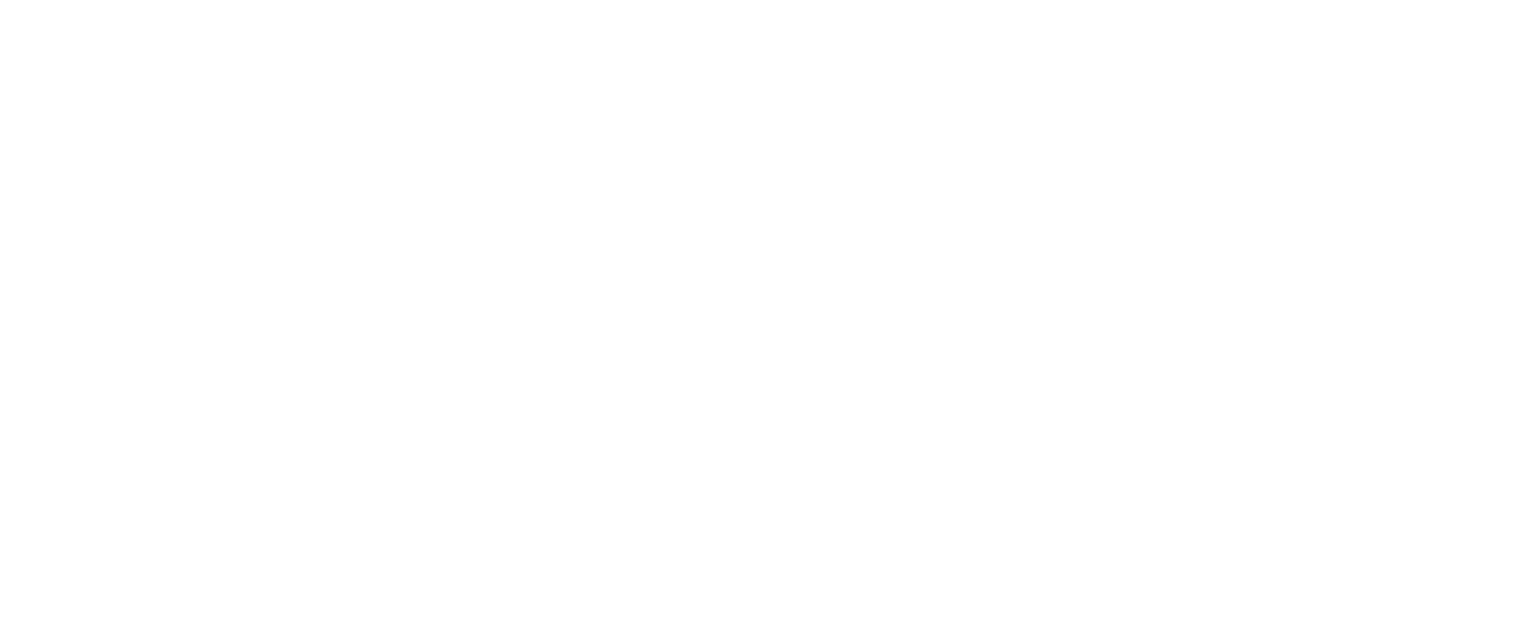 Logo 30