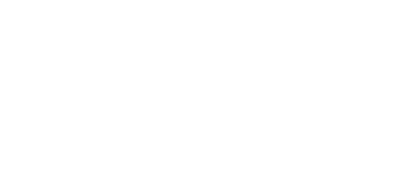 Logo 31