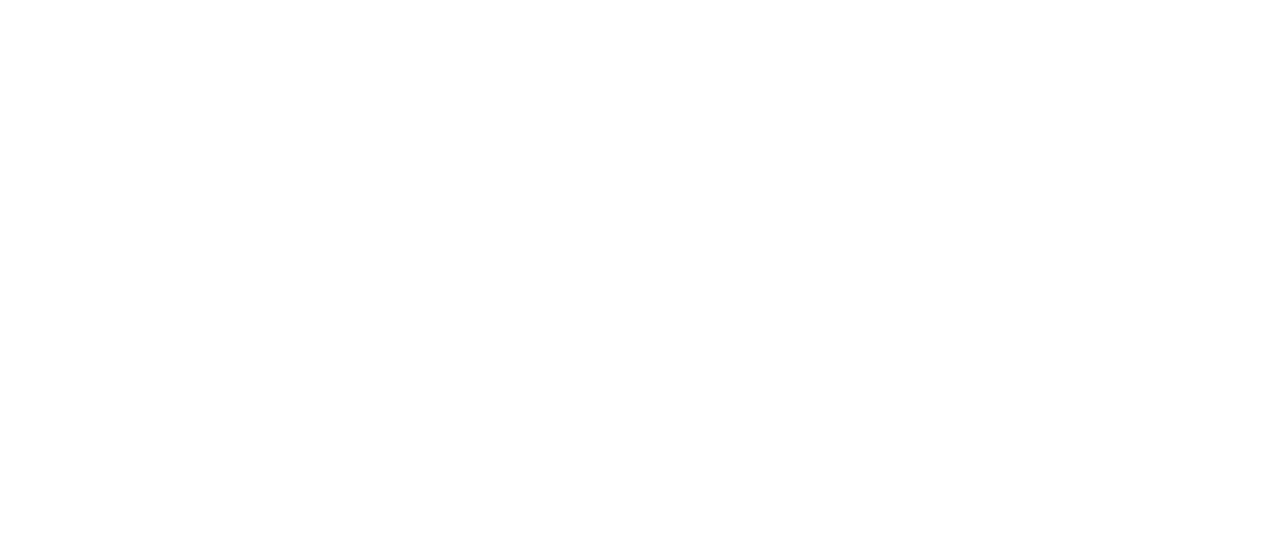 Logo 40