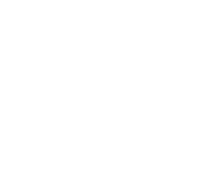 Logo 43