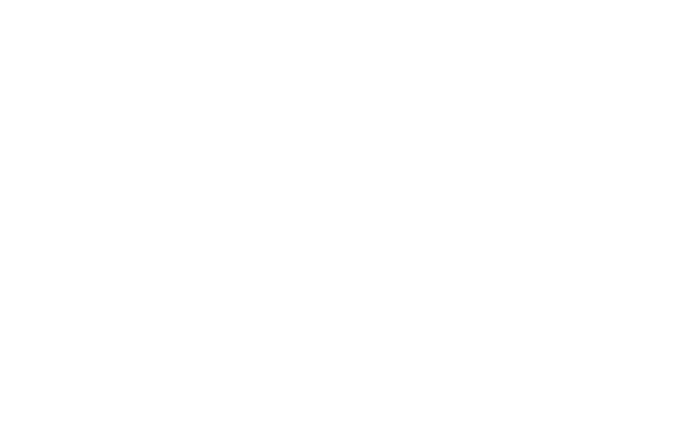 Logo 48