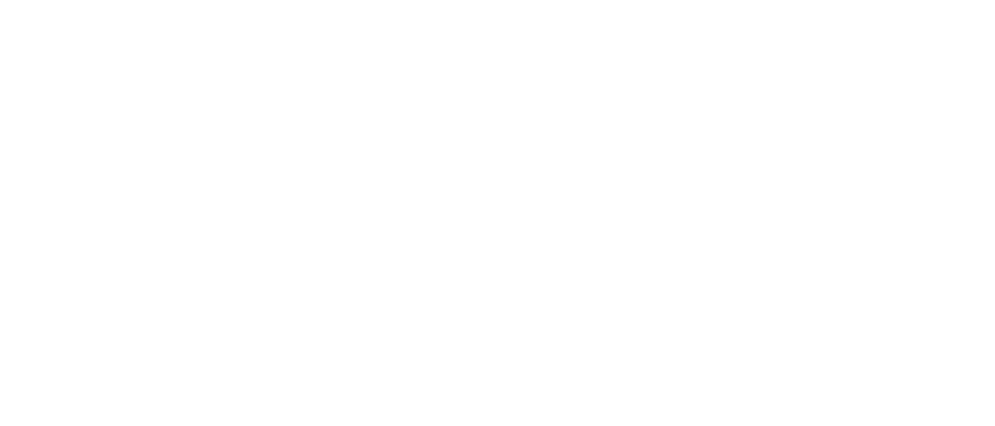 Logo 49