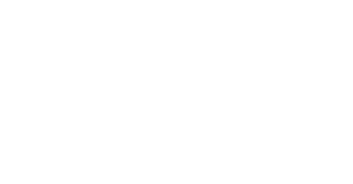 Logo 51