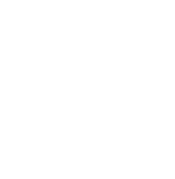 Logo 52