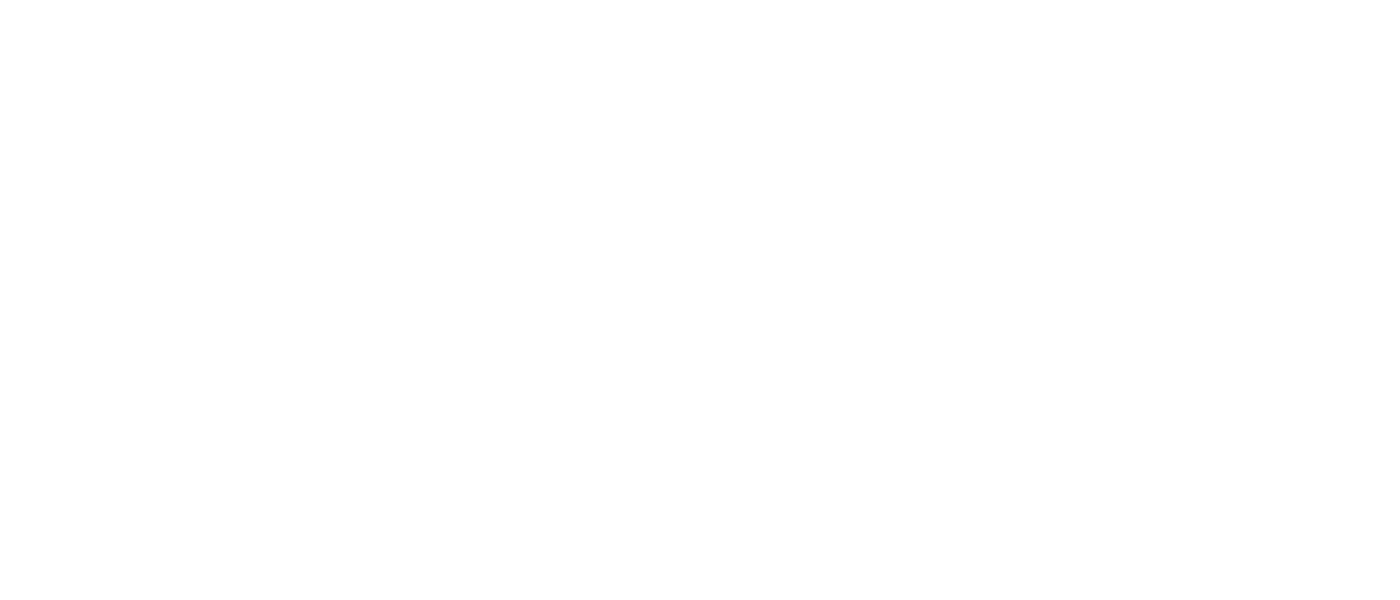 Logo 55