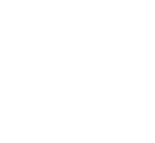 Logo 60