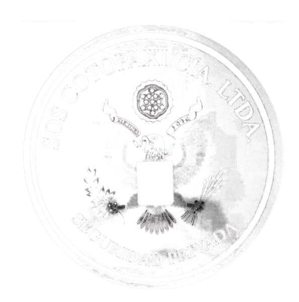 Logo 63